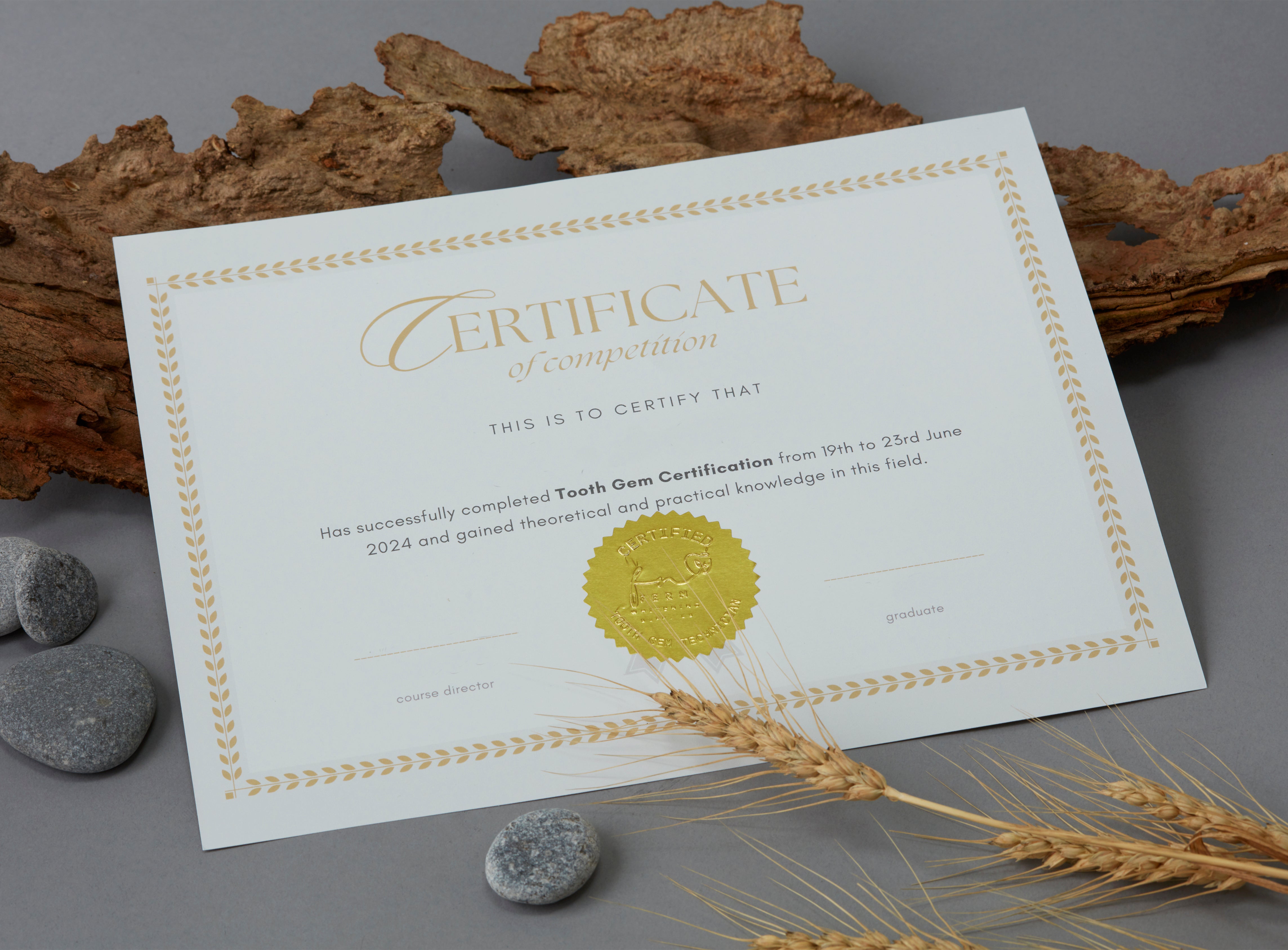 Tooth Gem Certification Course Certified Tooth Gem Technician Fern Tooth Gem Certification Course Certified Tooth Gem Technician Fern