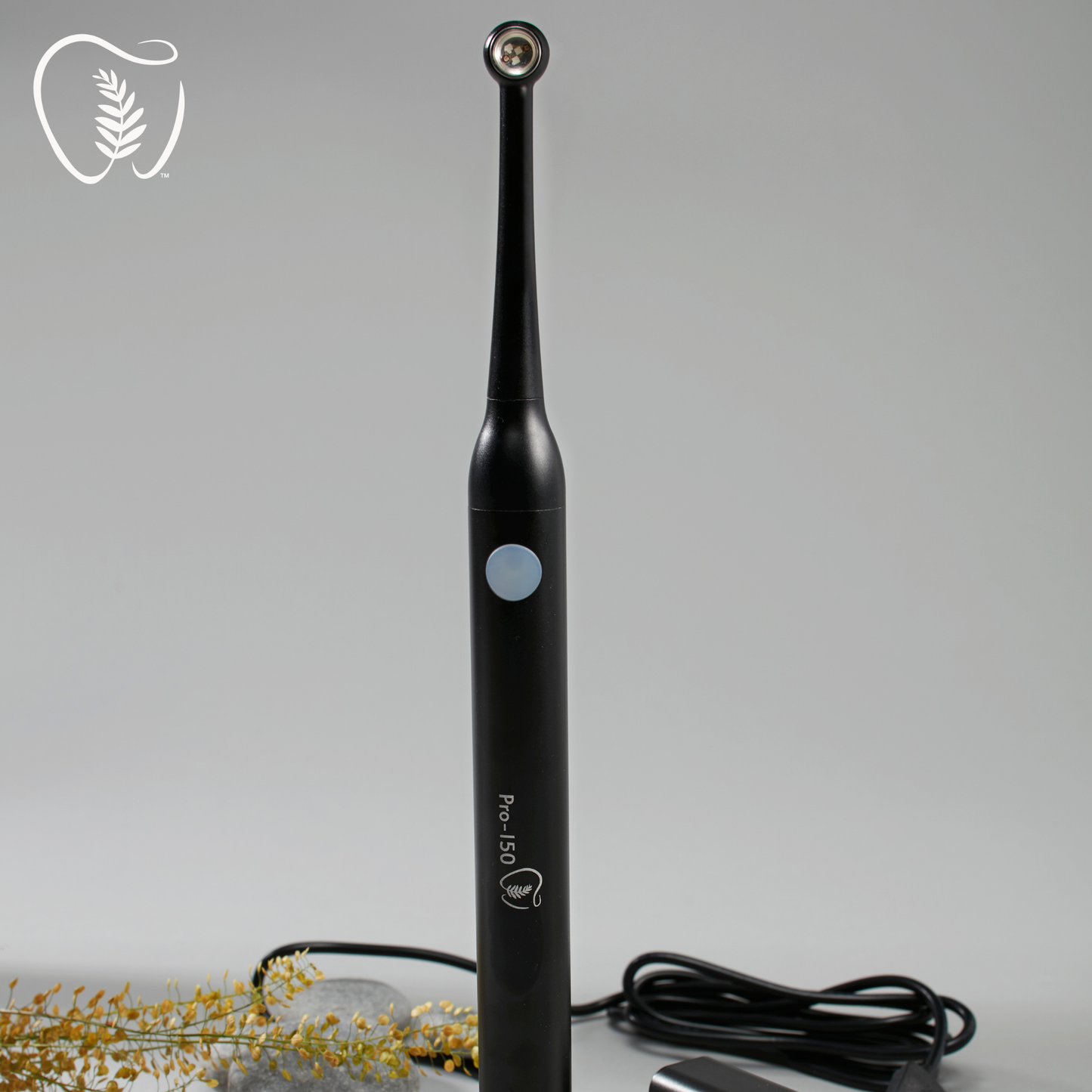 Pro-150 Curing Light