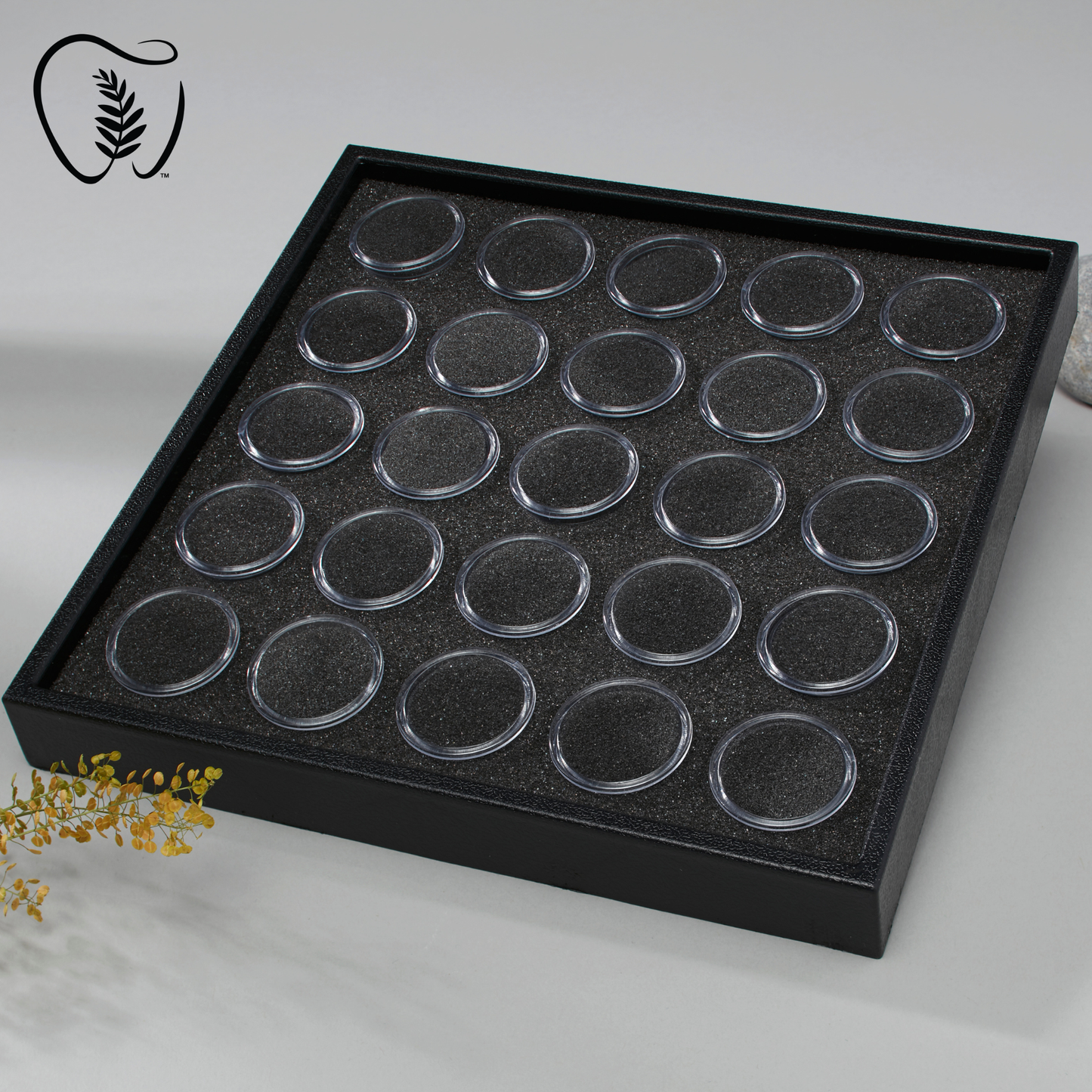 Tooth Gem Display Cases