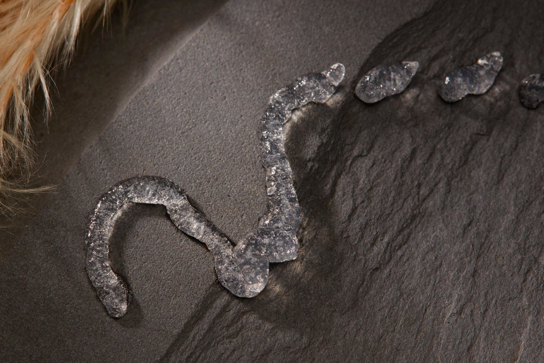 Teeth Whitening Gel Dispensed