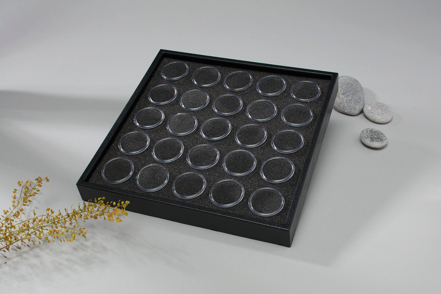 Tooth Gem Display Cases