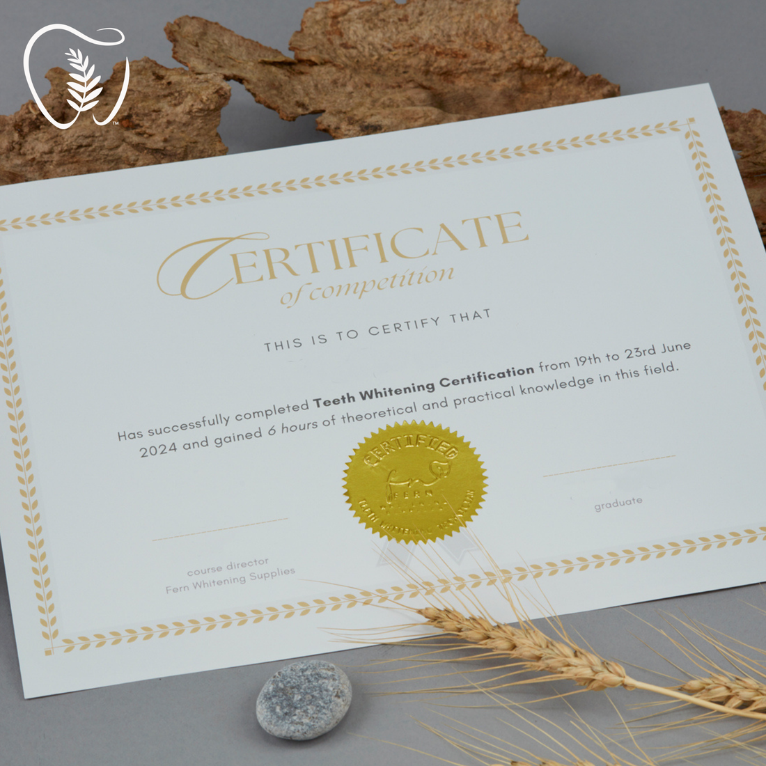 How to Get Certified in Teeth Whitening in Manitoba