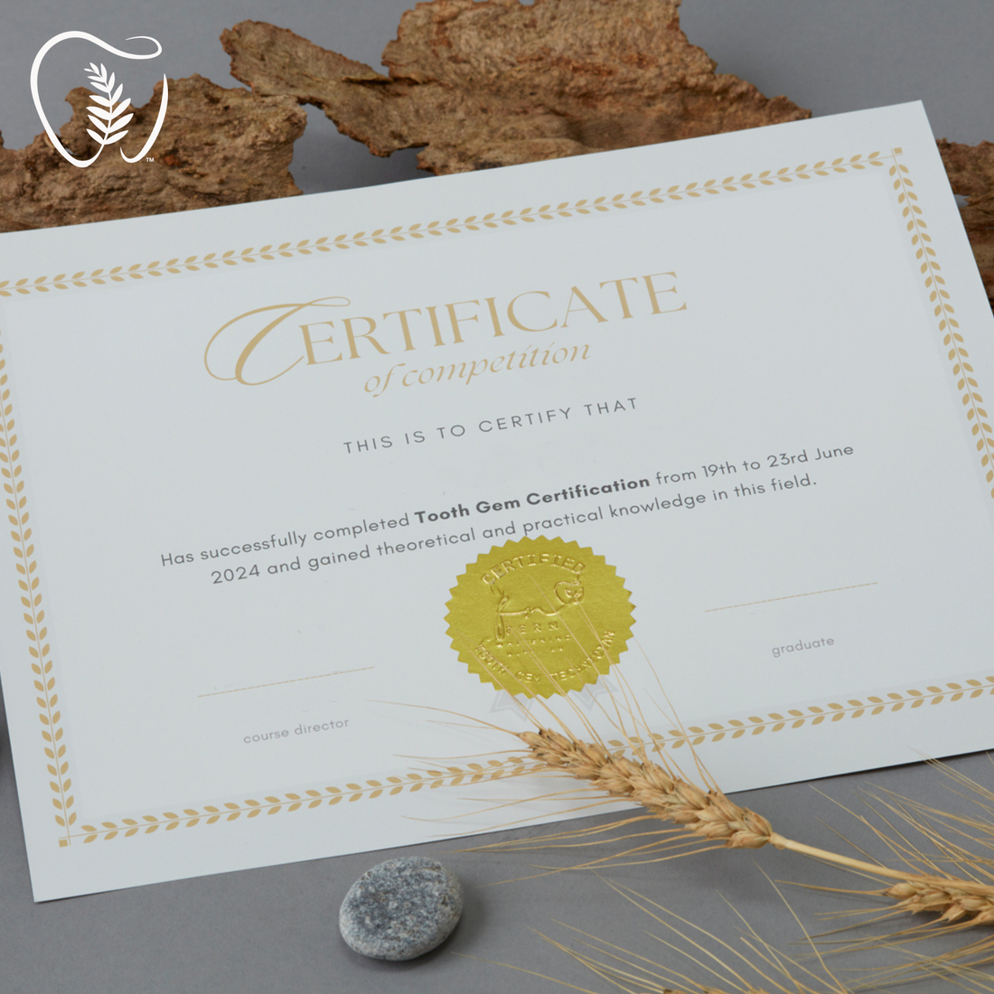 How to Get Certified in Tooth Gems in Canada