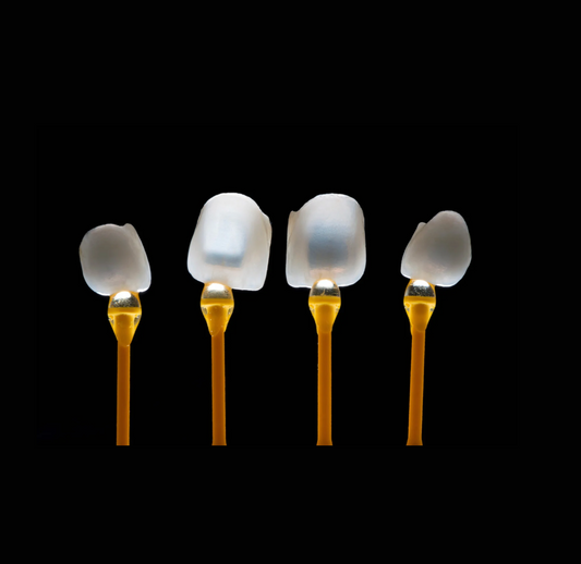 Veneer Technicans 