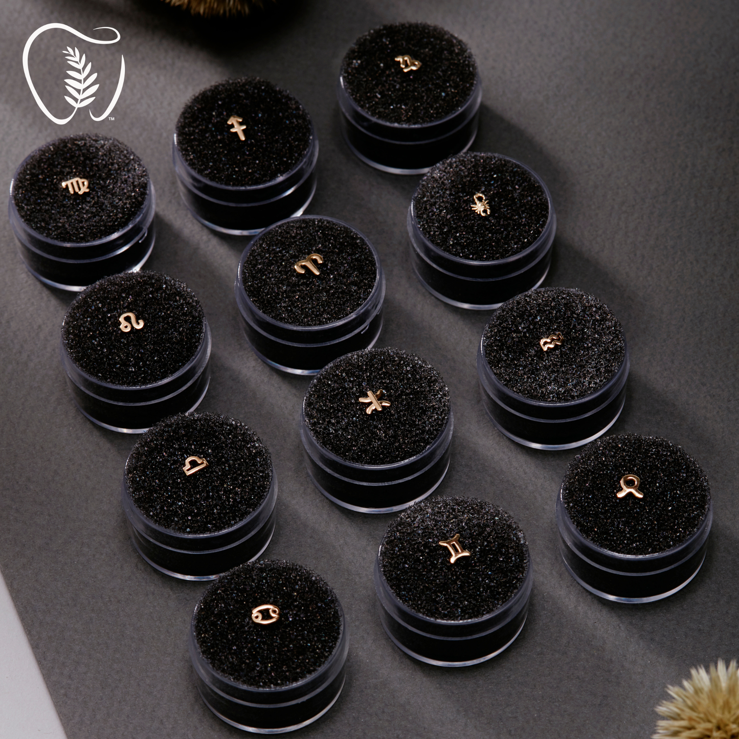 18K Zodiac Tooth Gems