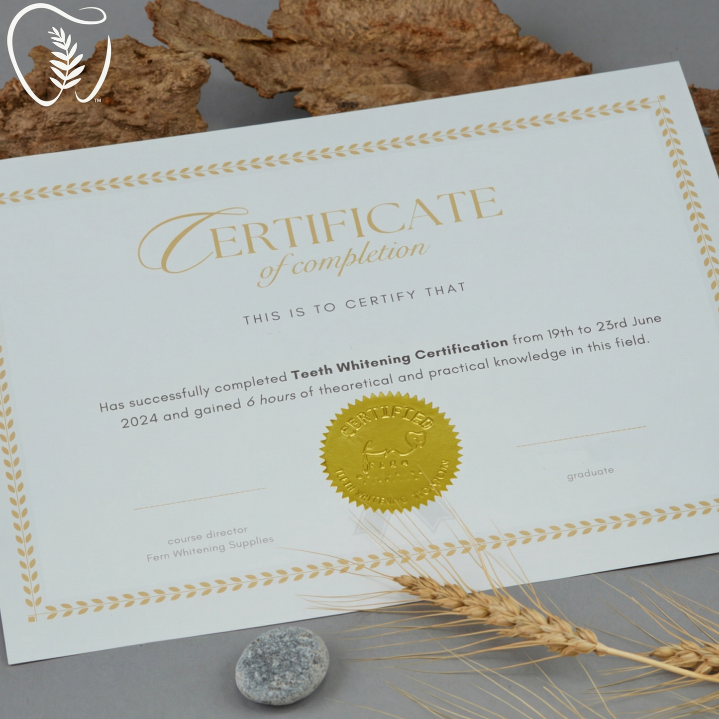 Teeth Whitening Certification Course – Online Training USA