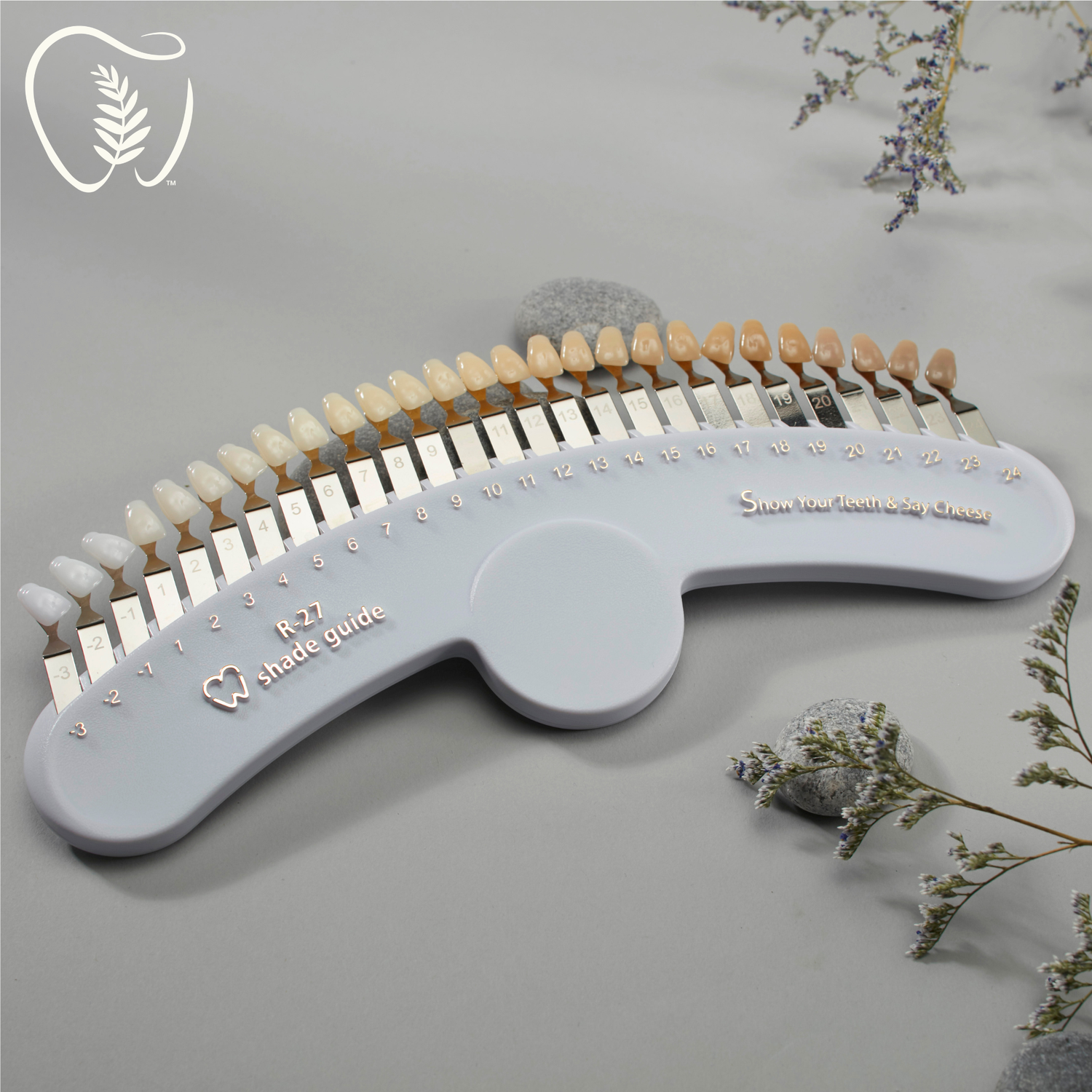 R-27 Tooth Bleaching Shade Guide
