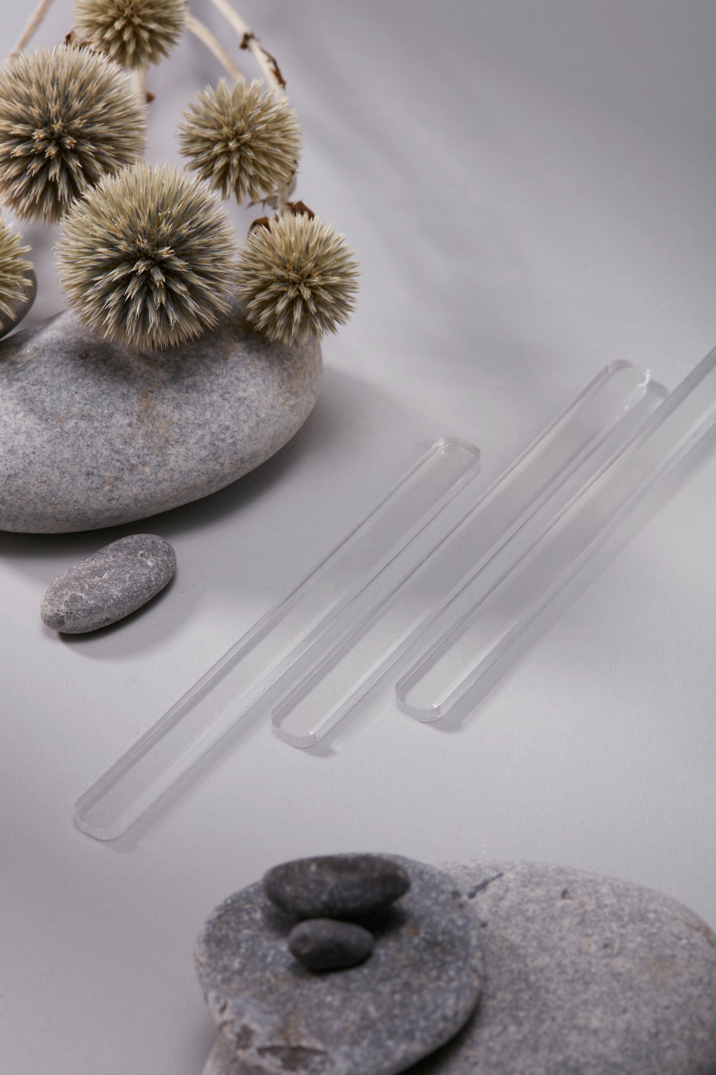 Tooth Gem Display Size Sticks