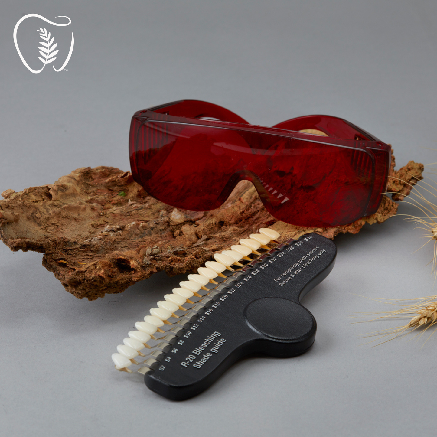 LED Safety Glasses OR Bleaching Shade Guide